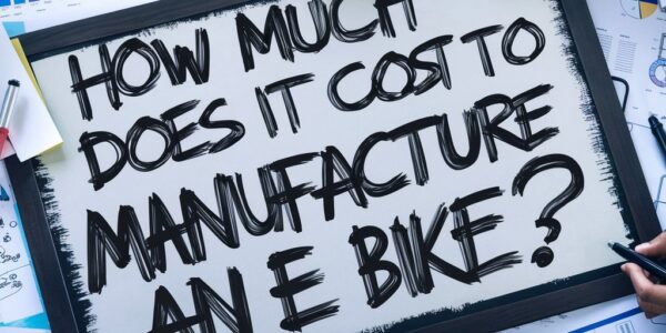 How Much Does It  Cost to Manufacture a E Bike'