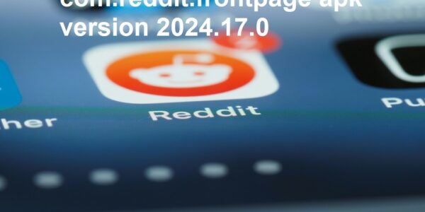 com.reddit.frontpage apk version 2024.17.0