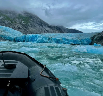 Antibiotic Candidates in Arctic Ocean Exploration