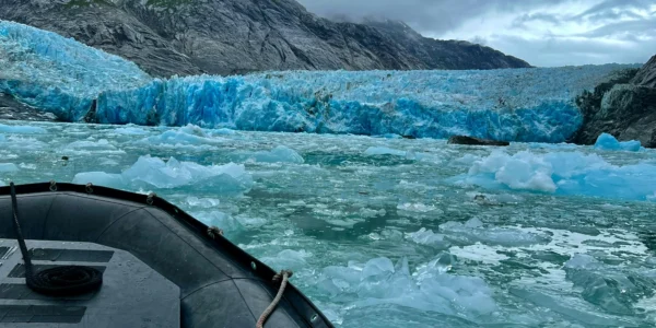 Antibiotic Candidates in Arctic Ocean Exploration